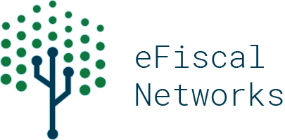 eFiscal Networks